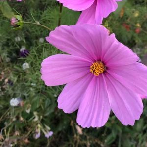 Meet your Posher, Nada